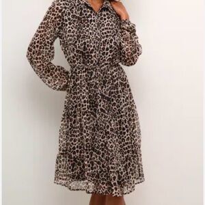 Leopard Print Long Sleeve Sheer Women’s Dress